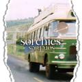 Logo saluran telegram sorchies — ★ . 𝓢orchíes