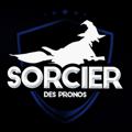 Logo saluran telegram sorcierp — SORCIER PUBLIC 🔔🔊🧙‍♂️