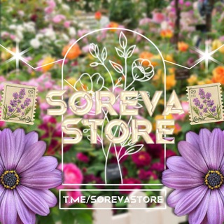 Logo saluran telegram sorevastore — S♡REVA : close 𔓘