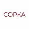 Логотип телеграм канала @sorka_kirov — СОРКА • МЕДИА КИРОВА