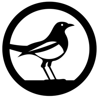 Логотип телеграм канала @soroka_info — СОРОКА - Новости Ярославля и все подряд