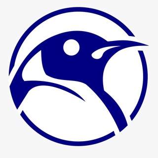 Логотип телеграм канала @sorokalife — СОРОКА | Новости | Сегодня