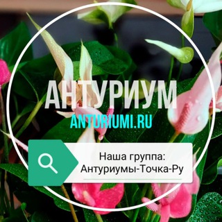 Логотип телеграм канала @sorta_anthuriuma — Антуриум - Сорта