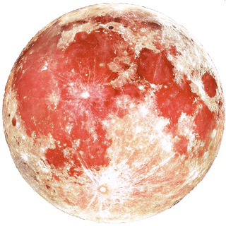 Логотип телеграм канала @sortsofthings — Всякое Разное