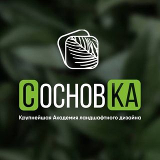 Логотип телеграм канала @sosnovka_academy — 🌿 Институт СосновКа