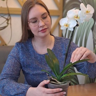 Логотип телеграм канала @soul_coah — Трансформация души | Виктория Мутав
