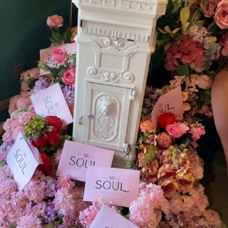 Логотип телеграм канала @soul_dusha — SOUL✨