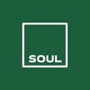 Логотип телеграм канала @soul_spb1 — Недвижимость с душой | Заботливый риелтор