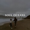 Логотип телеграм канала @soulayem — Soul oceans