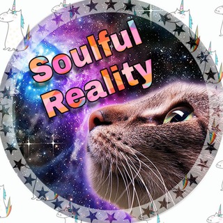 Logo of telegram channel soulfulreality — 𝑺𝒐𝒖𝒍𝒇𝒖𝒍 𝑹𝒆𝒂𝒍𝒊𝒕𝒚