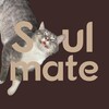 Логотип телеграм канала @soulmate_spb — Котокафе Soulmate