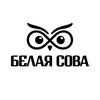 Логотип телеграм канала @soulwhiteowl — В гостях у Белой Совы