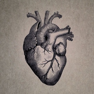 لوگوی کانال تلگرام sound_my_heart — 𝐬𝐨𝐮𝐧𝐝 𝐦𝐲 𝐡𝐞𝐚𝐫𝐭
