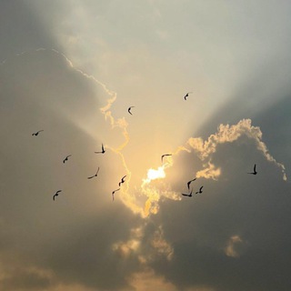 لوگوی کانال تلگرام sound_of_words — حوراء 💙🍃