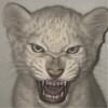 Логотип телеграм канала @sourrrr_zzz — sourrr