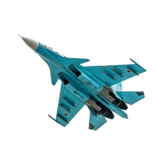 Telegram channel South_avia logo