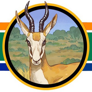 Logo of telegram channel southafricareports — South Africa Reports