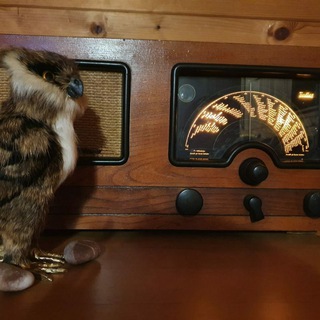 Логотип телеграм канала @sov_alt — Советов приёмник