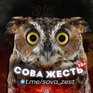 Логотип телеграм -каналу sova_zest — Сова Жесть 18 ✙
