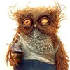 Логотип телеграм канала @sova44rus — А я думала сова 🦉🤪 (memеs)