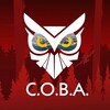 Логотип телеграм канала @sova_anapa — С.О.В.А | С Обществом Вместе - Анапа