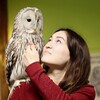 Логотип телеграм канала @sovainschool — Сова в школе