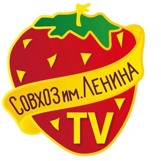 Логотип телеграм канала @sovhoztv — Совхоз-ТВ