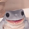 Логотип телеграм канала @sovsem_coocoo — Совсем ку-ку 𓆏
