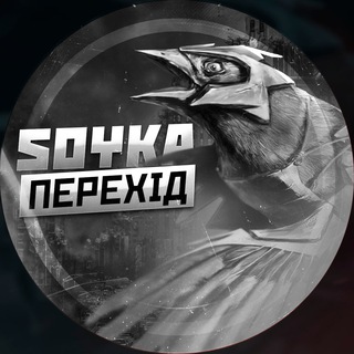 Логотип телеграм -каналу soyka_channels — Перехідник 🔄