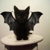 Логотип телеграм канала @sozvezdie72 — mishka