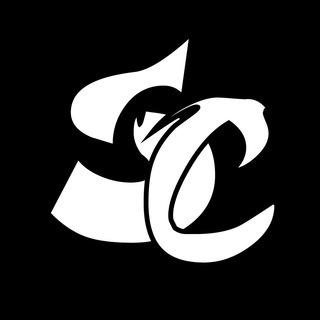 Логотип телеграм канала @space_of_cars — Space of Cars