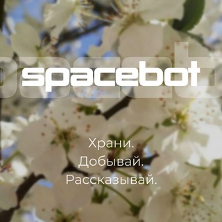 Логотип телеграм канала @spacebotsh — КРИПТА / SPACEBOT - МУЛЬТИВАЛЮТНЫЙ КРИПТОКОШЕЛЕК