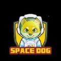 Logo saluran telegram spacedogenews — Space Dog Official