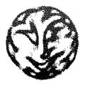 Logo of telegram channel spaceheadtr — ✦ spaceheadpost