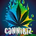 Logo saluran telegram spacescowboy — 💊CanniBiz Premium Promos💊