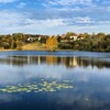 Логотип телеграм канала @spasemsinichku — Спасем Синичку
