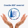 Логотип телеграм канала @spasemvogvmeste — Спасём ВОГ вместе!
