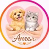 Логотип телеграм канала @spasi_angel — Приют Ангел