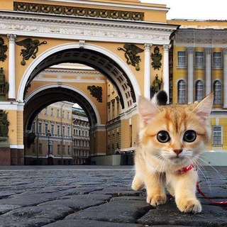 Логотип телеграм канала @spb_danger — 🔥 Фонтанка СПб