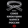 Логотип телеграм канала @spb_karate — СПб Каратэ