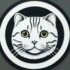 Логотип телеграм канала @spbstorys — New York Cats Kittens Kitty