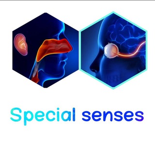 Logo saluran telegram special_sense_65 — Special sense