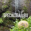 Логотип телеграм канала @specialtea_nvrsk — SpecialTea | Новороссийск