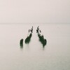 Логотип телеграм канала @speckornver — #спецкорНвер