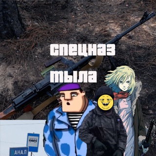 Логотип телеграм канала @specnazt — СПЕЦНАЗ ТЫЛА