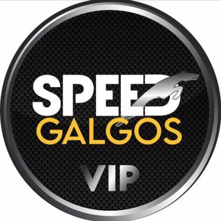 Logotipo do canal de telegrama speedgalgos - Speed galgos free