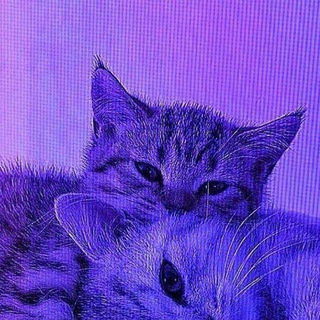 Логотип телеграм канала @speedsong72 — speed song <3 // парные авы
