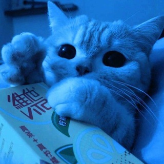 Логотип телеграм канала @speedupto — speed song | парные авы