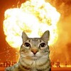 Логотип телеграм канала @sperma_gitlera — Кругосветка в рамках черепной коробки