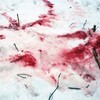 لوگوی کانال تلگرام spermagl0t — ⛧أنا أحب الكوكايين